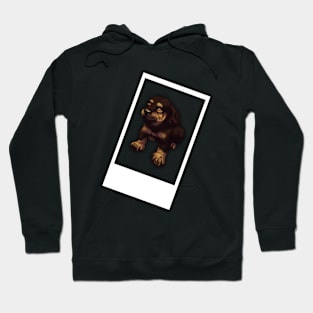 Rottweiler puppy photo Hoodie